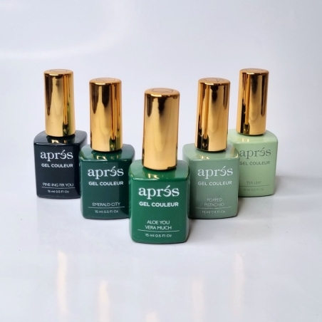 APRES GEL COULEUR COLLECTION 04