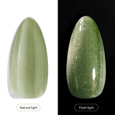 The World - CE20, 10ml Astral Gel Couleur Apres Nail