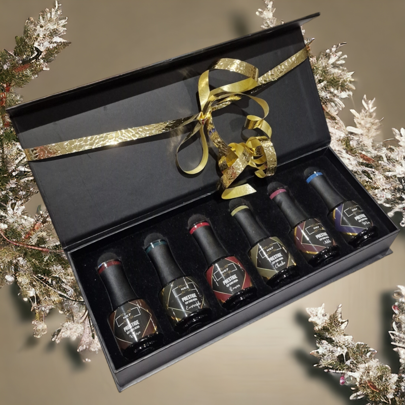 COFFRET HIVER PRESTIGE NKF